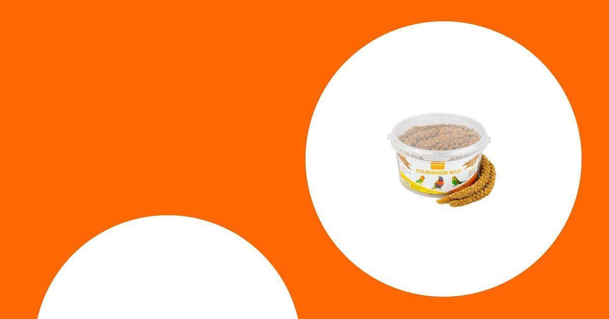 Das beste Papageienfutter: Körner, Pellets oder Frischfutter?