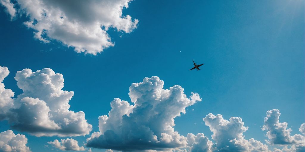 Freiflugtraining für Papageien: Schritt für Schritt zur sicheren Flugfreiheit