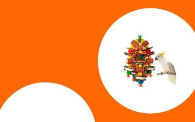 Die besten Kauspielzeuge für große Papageien wie Aras und Graupapageien