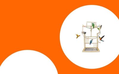 Die besten Papageien-Spielplätze für drinnen und draußen