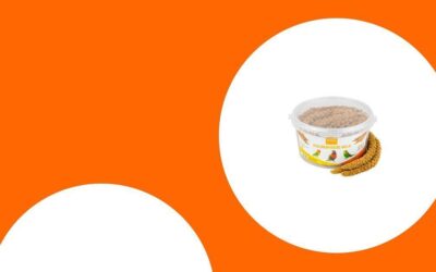 Das beste Futter für eine gesunde und ausgewogene Papageien-Ernährung