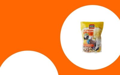 Die besten gesunden Leckerlis und Snacks für Papageien