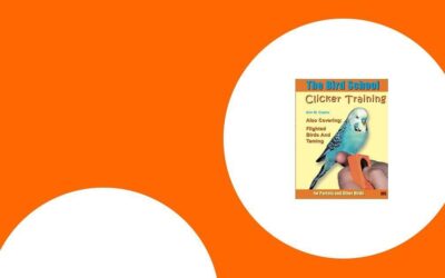 Die besten Trainingshilfen für Papageien – Clicker, Stangen & Zubehör