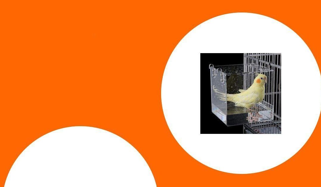 Die besten Badehäuser und Duschmöglichkeiten für Papageien