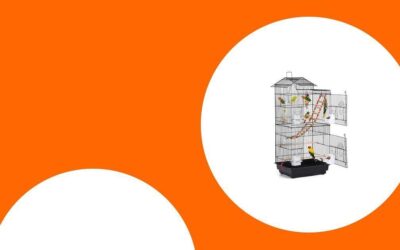 Die besten Papageienkäfige für eine artgerechte Haltung