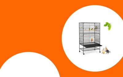 Die besten Papageienkäfige in Größe, Qualität und Design