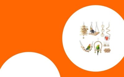 Die besten Beschäftigungsspielzeuge für Papageien im Käfig